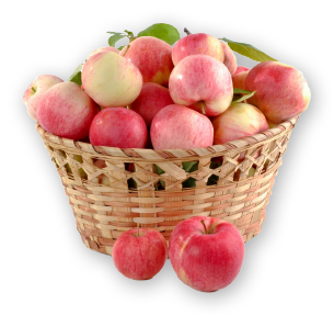 Korb mit Äpfeln